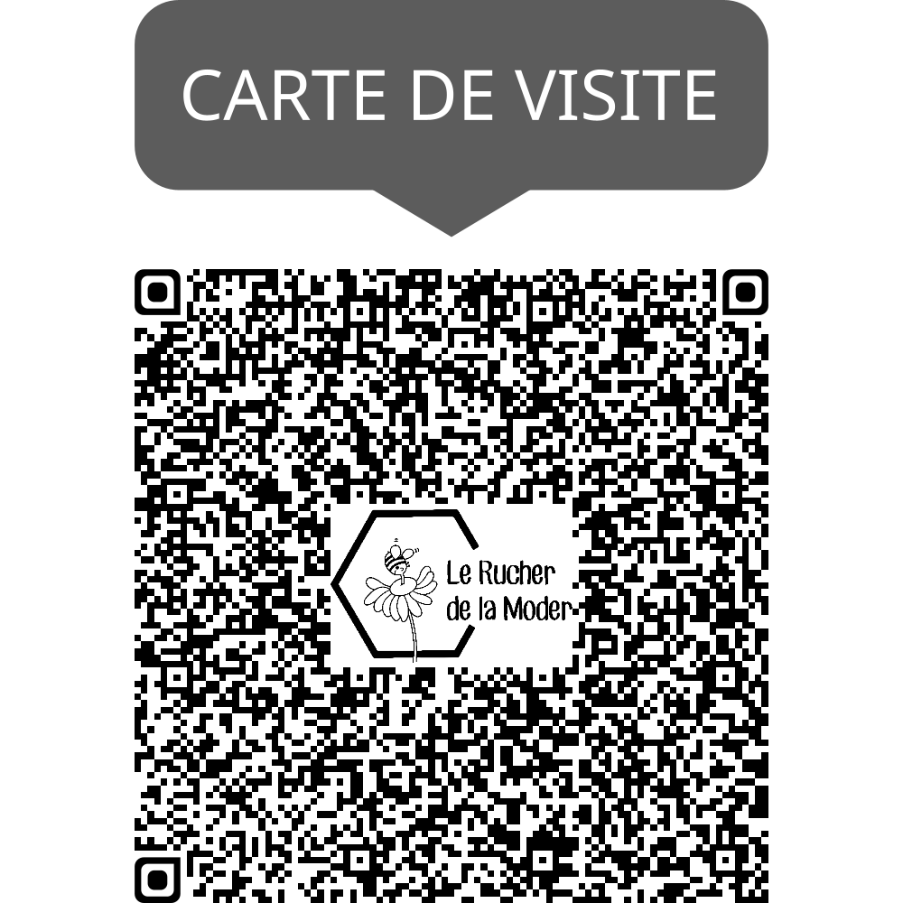 QR Code Carte de visite